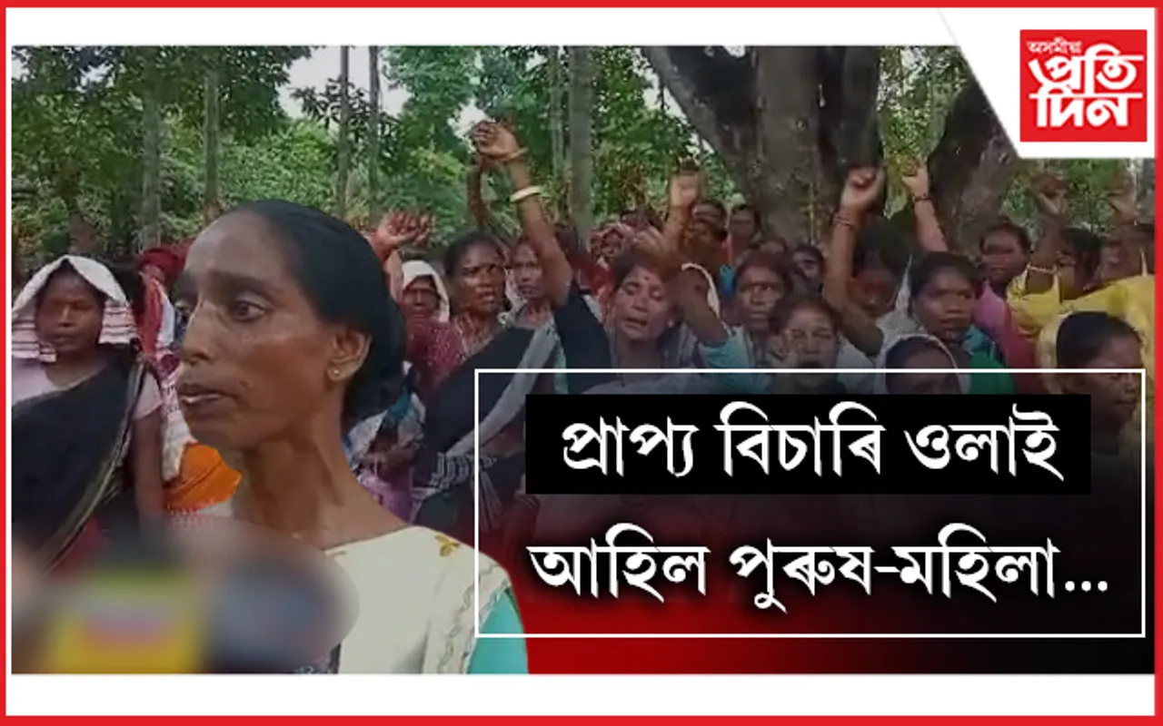 গোলাঘাটৰ ৰঙাজান চাহ বাগিচাত উতপ্ত পৰিস্থিতি... 